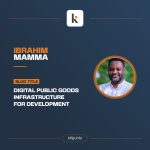  Digital Public Goods/Infrastructure for Development 